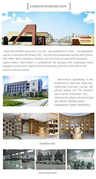 Merlin Bird Modern Agriculture Co.,Ltd. company overview - view 1