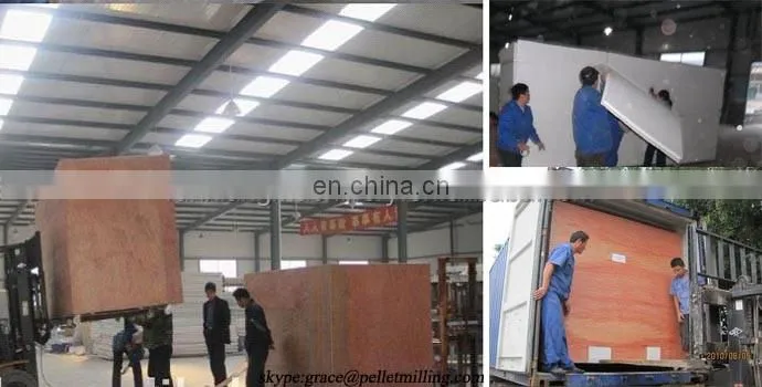 Hydroponic barley fodder bean sprout machine for cattle,rabbit,sheep,horse / Grass Growing Machine