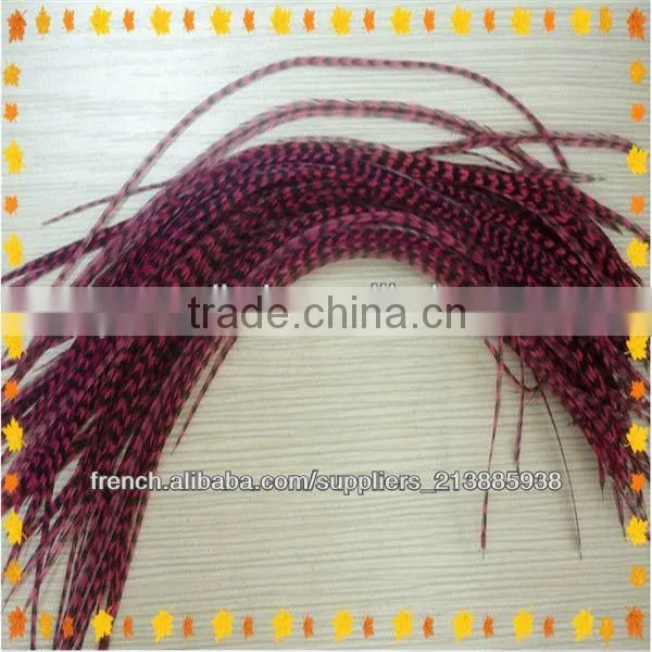 Thin Long party show colorful top sale real rooster feather hair extensions