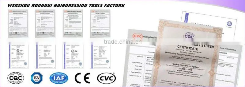 professional no noise salon standing hair dryer with AC/DC motor