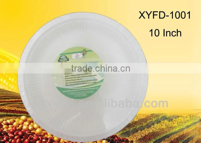 10 inch disposable biodegradable dinner plastic plate