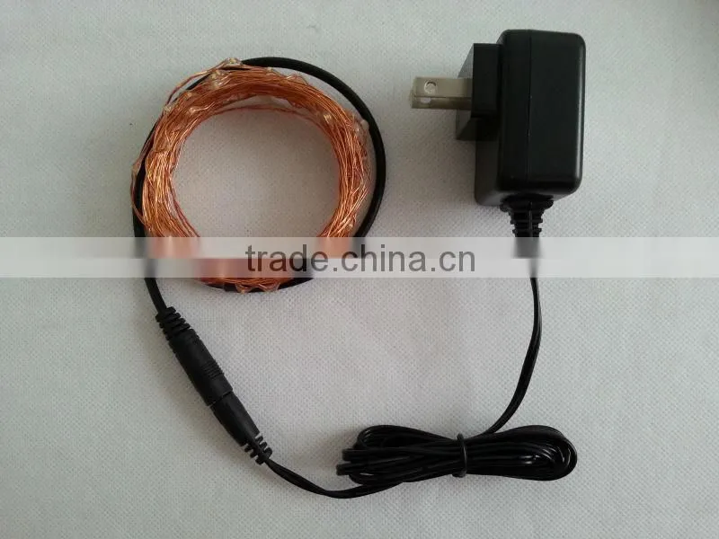 6M LED rice lights with 4 customerized plug adapter