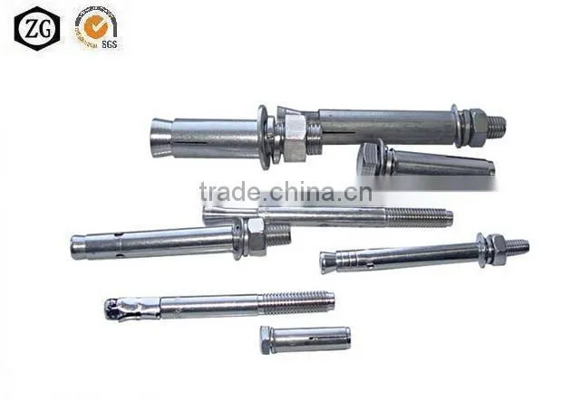 Bolt Stainless steel Wedge Expansion
