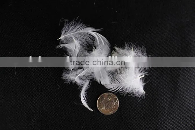 Factory Price 2-4cm Washed White Goose Feather fo Selling