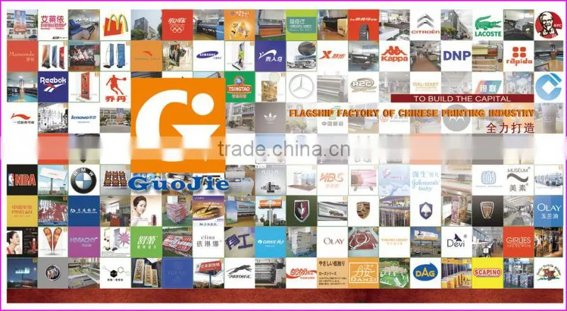 Backlit PVC Flex Banner/PVC Frontlit Banner Flex