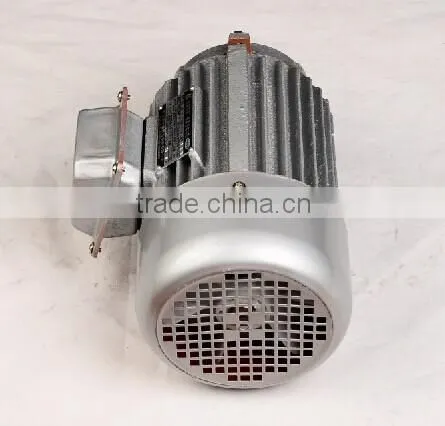 IE2 three phase electric motor