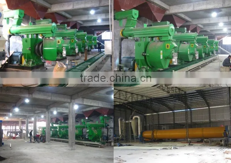 Latest pellet mill machine/granulation machine/pelleter used for animal feed