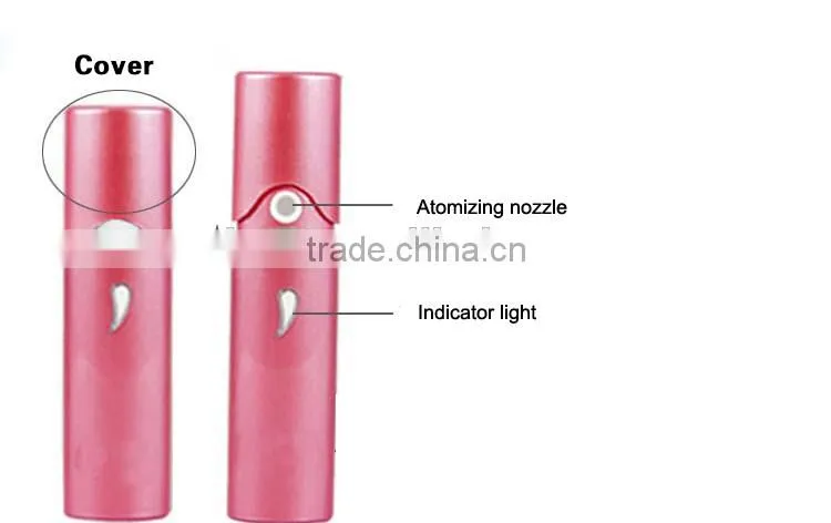 EveryLady electric nano facial mister for christmas gift