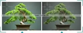720P HD AHD 1.0 MP Camera module