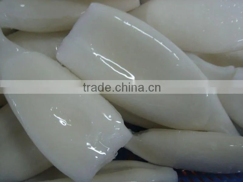 squid tube U5 Illex Argentinus tube and tentacles