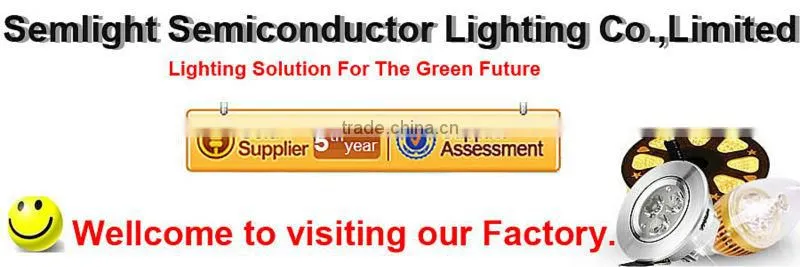 TUV CE RoHS IEC Approved Canopy Light LED With Energy Saving