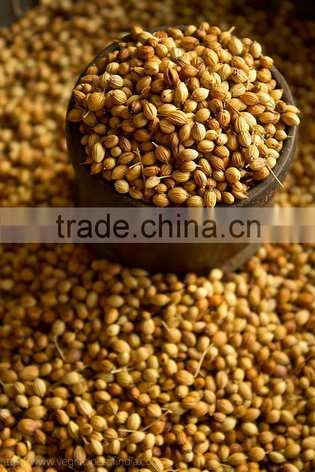 Indian High Grade Fresh Wholesale Dried Coriander Seed