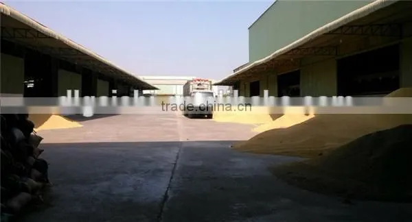 short grain rice/vietnam rice/