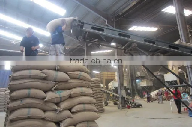 VIETNAM GREEN COFFEE BEANS