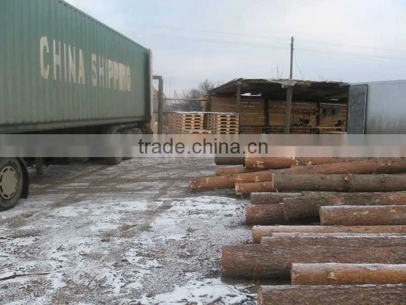 Pine, Spruce, Poplar logs (Ukraine Odessa)