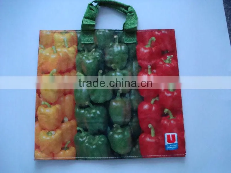 Full printing lovely shopping bags for fair
