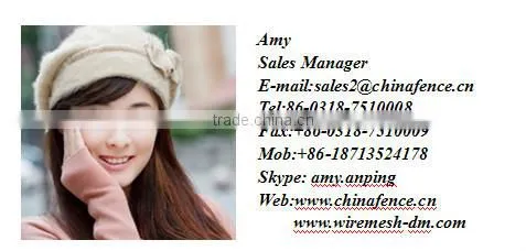 DM ISO certificated welded wire mesh panel from direct factory