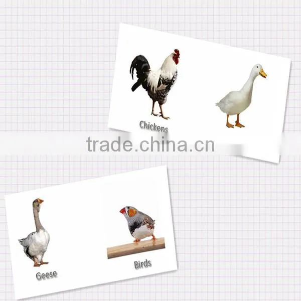 HHD Cheap High Quality fertile eggs hatching for sale for sale EW-96 Power-saving