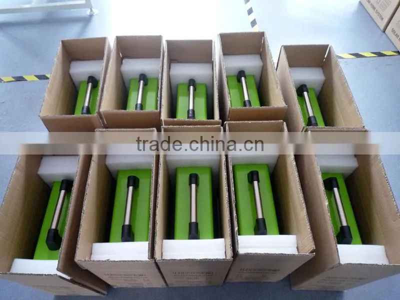 300W solar home light system