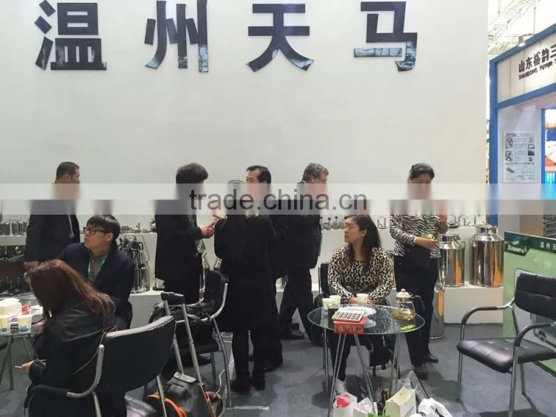 sanitary stainless steel spary cleaning ball