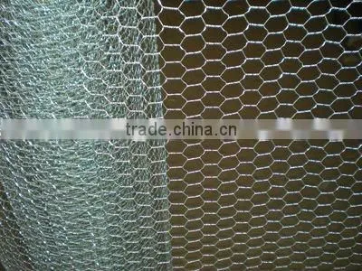 Glavanized Bird netting roll
