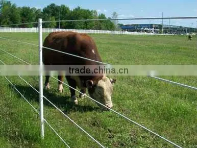 Glass fiber stake, glass fiber fence post