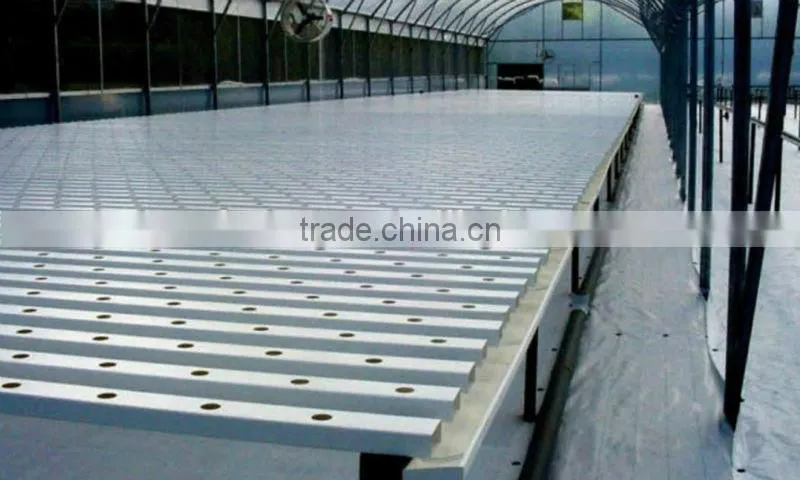 100x50mm NFT Hydroponics for Greenhouse