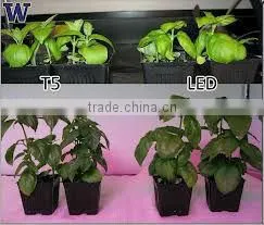 china made led grow light reliable integrated Led grow light manufacture