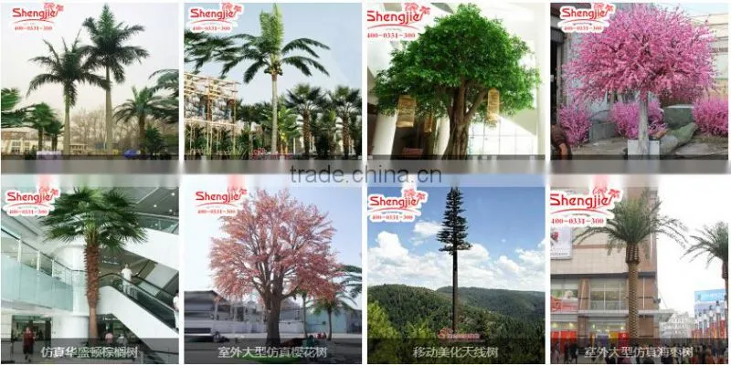 CHY070908 High quality tree leaves/Bay leaf craft/bay leaf production