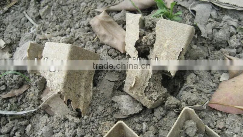 Factory wholesale planter