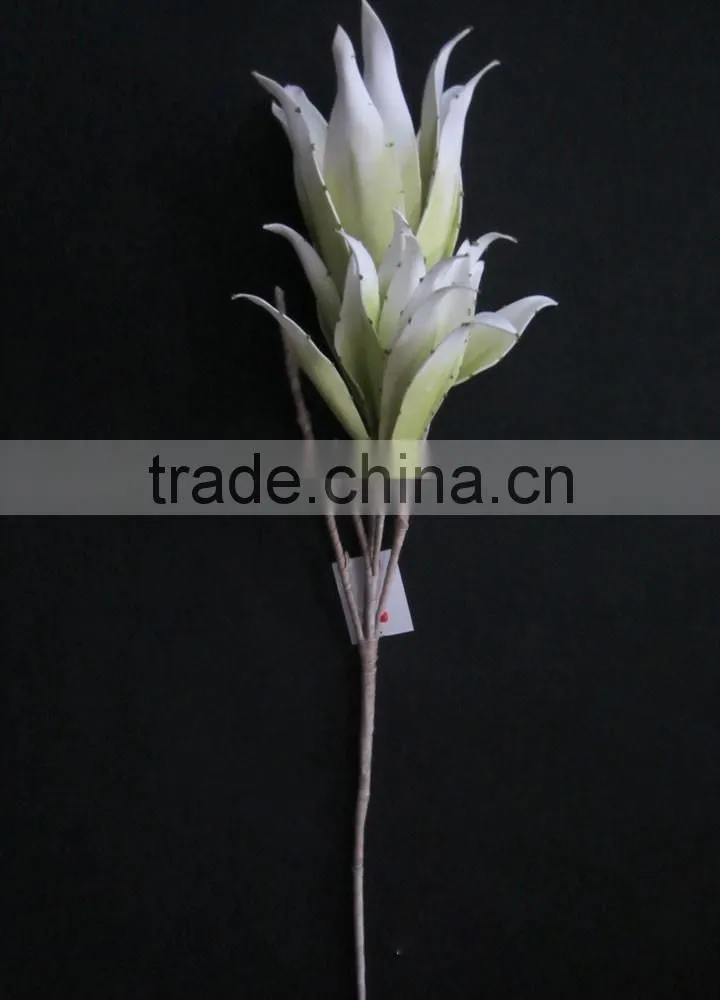 new items 2016 flowering succulent plants