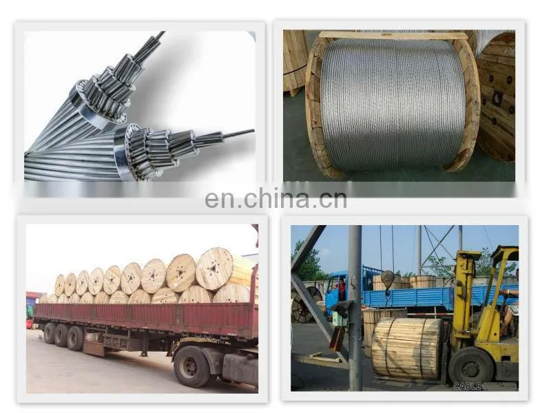 ASTM BS IEC DIN GOST Standard AAC ACSR bare Conductor Cable