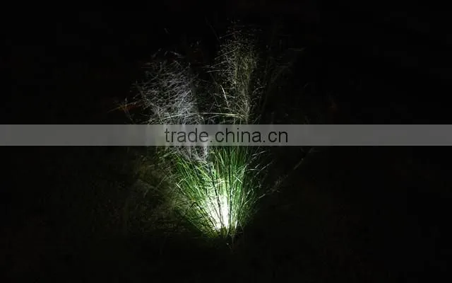 waterproof safe LED Backyard lights