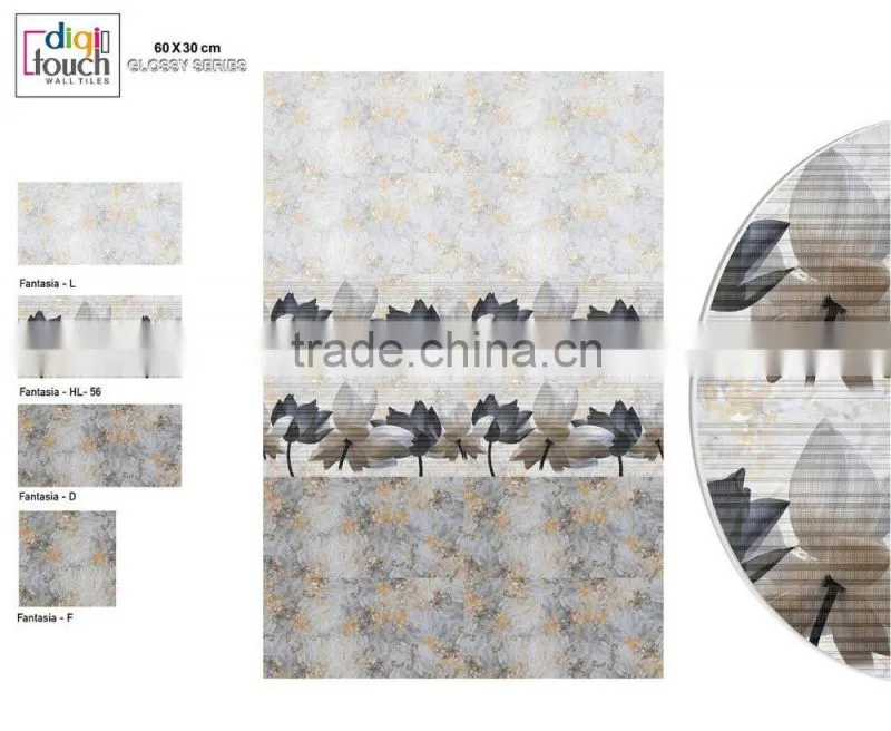 30 X 60 Wall Tiles.