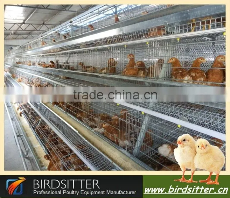 Ready Sale automatic chicken farm machinery for broiler and poutlry farm equiment