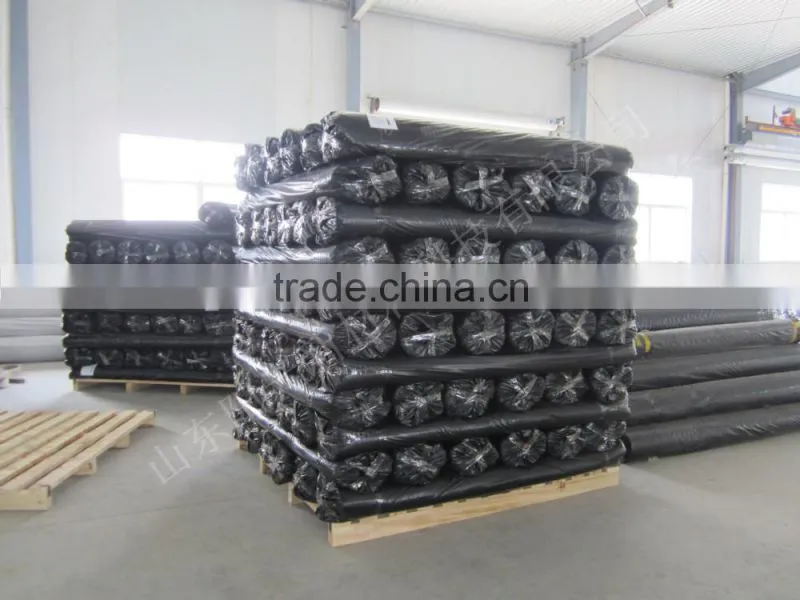 high quality 13% elongation biaxial water-soluble polyester geogrid with certification CE,