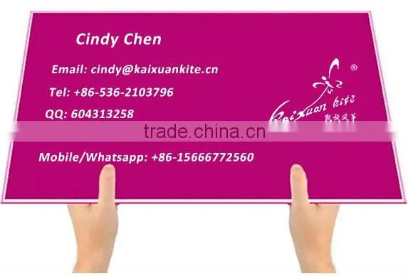 Chinese Single line Cartoon Rokkakus Kite