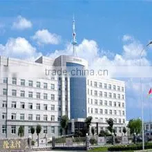 Shandong Dorson Hydraulic Co., Ltd. company overview - view 1