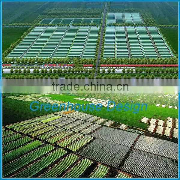 Film Cover Material and PE Material small greenhouse wholesale