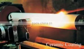 Shenzhen Apple Vista Technology Ltd. company overview - view 2
