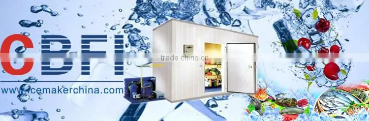 Blast Freezer for Quick frozen fish and chicken