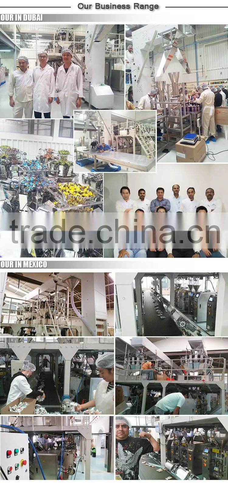 Good Reputation High Efficient Bag Packing Machine