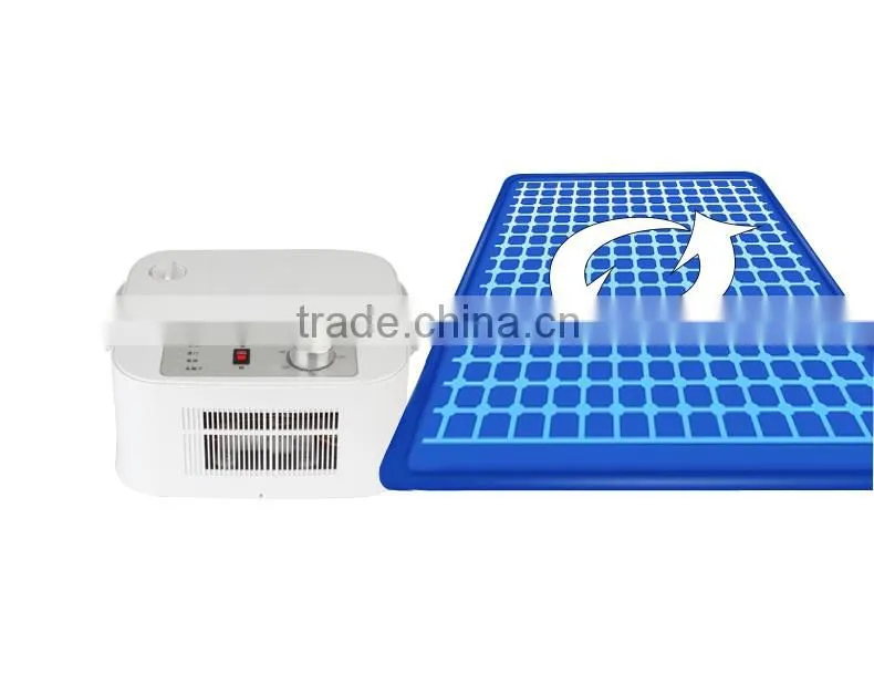 electric heating blanket and water heating mattress pad