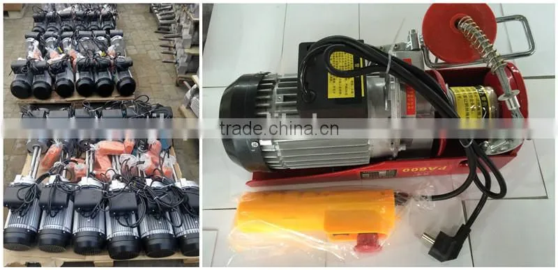 Electric Winch Hoist with Wireless Remote Control