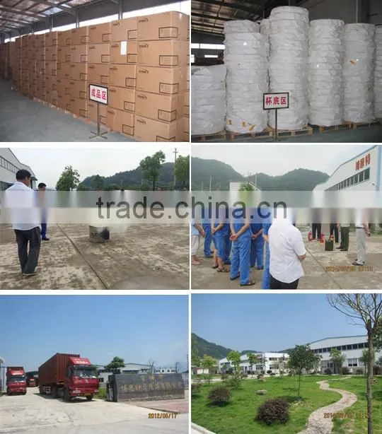 disposable paper cup different sizes option