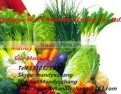 Wholesale Prices Fresh Apple Fruit / Red Fresh Apple