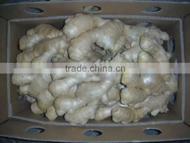 ginger root price