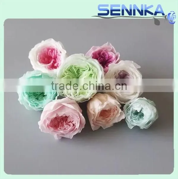Wedding Favors Preserved Austin Rose Flower Wholesale Approximately 4.5cm Diameter