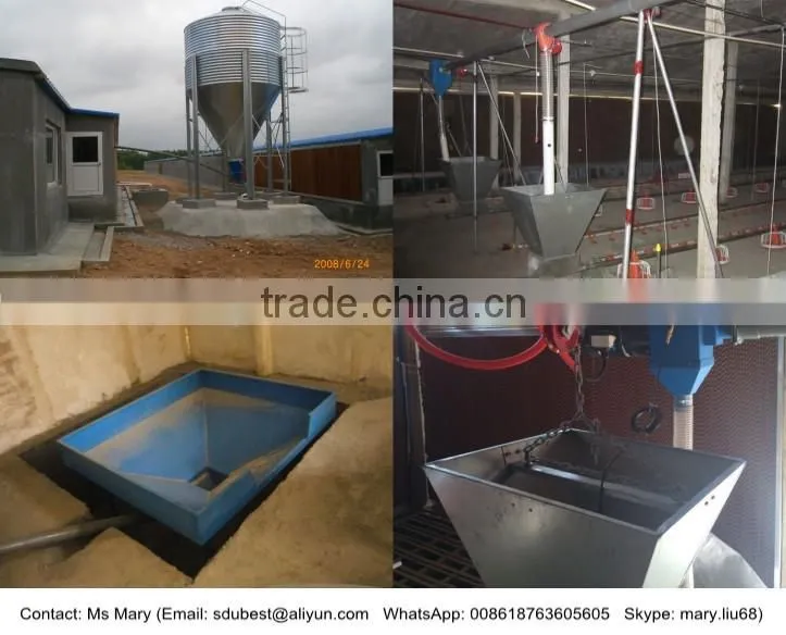 Industrial chicken shed/broiler farm/poultry house construction design