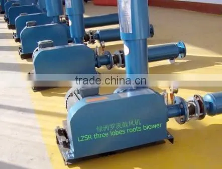 Hige efficiency Air suction pump rotary roots blower